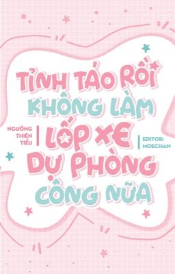 Tỉnh Táo Rồi Không Làm Lốp Xe Dự Phòng Công Nữa!