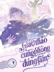 Giáo Thảo Cùng Phòng Không Đúng Lắm