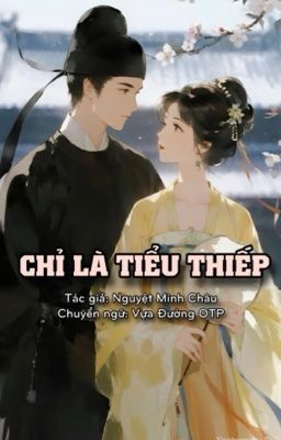 Chỉ Là Tiểu Thiếp - Nguyệt Minh Châu