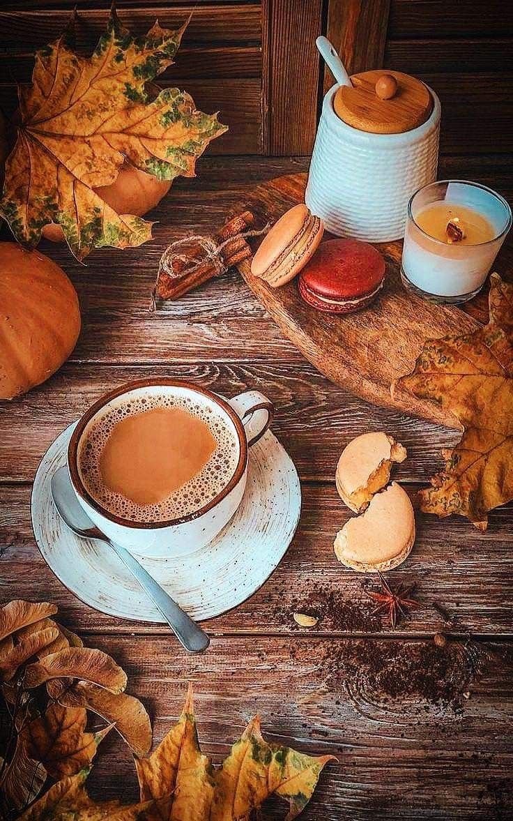 Tôi Giả Mù, Hắn Giả Què